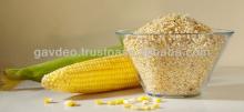 Corn Germ for Corn Oil production