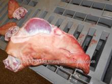frozen pork whole heads w/o ears