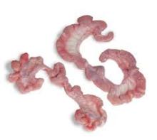  Frozen  Pork Uteri, Frozen  Pork heads(Pig Heads), Frozen   Beef   tails 