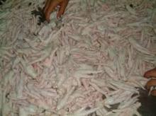 chicken feet and chicken wings