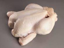 Frozen whole Chicken, chicken feet and paws