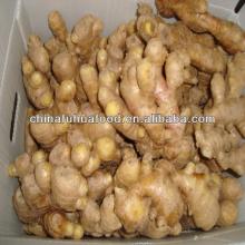 Fresh Ginger