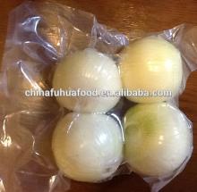 hot sale  fresh  onion