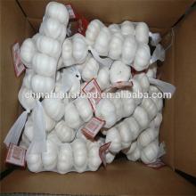 Fresh Garlic From China