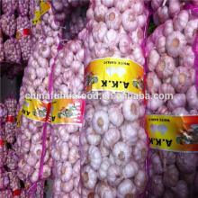 Good Quality Fresh Garlic