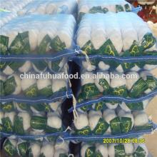 Fresh Garlic Supplier