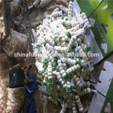 Fresh Garlic Small Package
