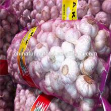 Fresh Garlic 20kg/mesh Bag