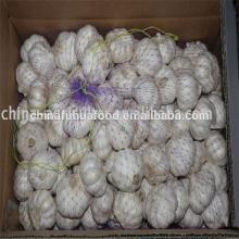 Fresh Garlic Loose Package