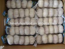 New Produce Fresh Garlic 5p