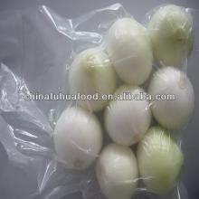 2014 New Crop Fresh Onion Peeled Onion