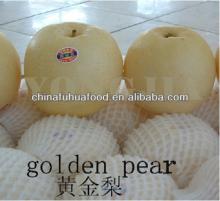 tasty fresh pear good quality