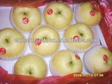 Deliciou and Tasty Fresh Pear