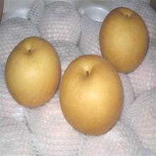Crown Pear