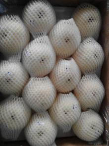 New Crop Pear