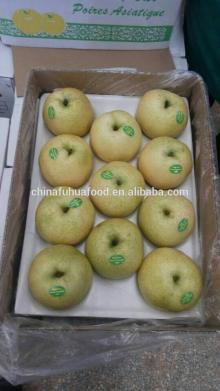 Golden Pear