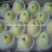 China Golden Pear