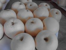 2014  New   Crop  Pear