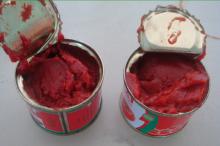 Tomato Paste