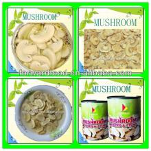 Paddy canned champignon mushroom