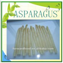 430G  Canned   White   Asparagus   Spears 