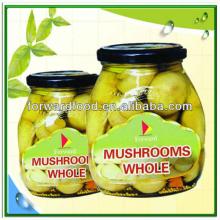 370ML Canned  Mushroom  In  Glass   Jar 