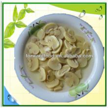 Best  Canned  Champignon Mushroom PNS