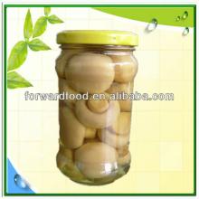 2013 best selling canned mushroom whole