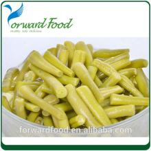 High quality canned green beans fresh