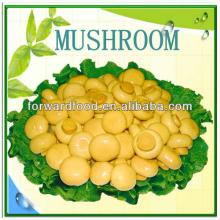 pickle brands of canned mushroom in brine