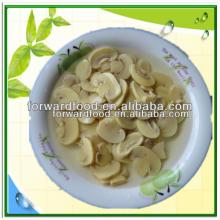 tasty Chinese canned champignon mushroom the best