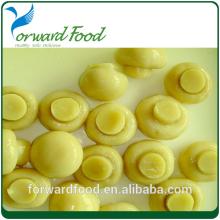 canned mushroom sliced canned mushroom in brine