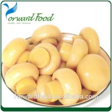 Fresh canned mushroom top quality in jar or tin