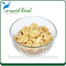 Health Food Canned Mushroom Sliced in jar
