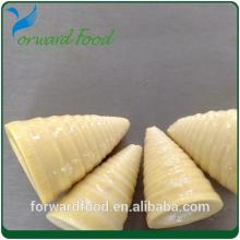 whole canned bamboo shoot in tin