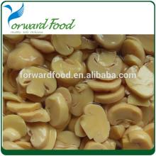  fresh   oyster  mushroom sliced