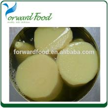 567g Canned bamboo shoots halves pickled bamboo shoot price