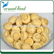 580ml best canned mushrooms whole in brine in jars mushroom canned