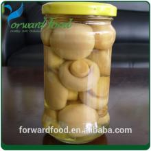 mushroom champignon tin in brine