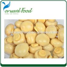 800g canned whole button mushroom in brine fresh white button mushroom