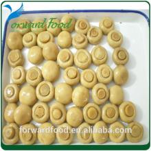 cheap whole mushroom canned in tin