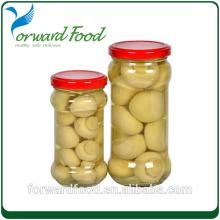  champion s  mushroom  in jar for sale