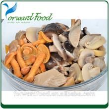 canned mixed mushrooms products you can import from china