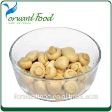 New crop High quality Chinese origin canned mushroom