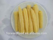 healthy canned baby corn in glass jar