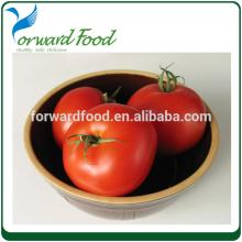 2840g fresh canned tomato whole in jars