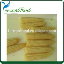 Canned Vegetable Baby Corn tin food