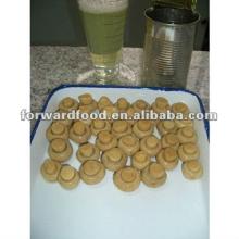  tinned   mushroom s wholesale