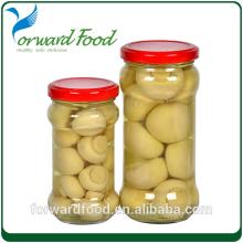 fresh whole mushroom in jar