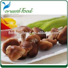 400g fresh whole shiitake mushrooms in jars